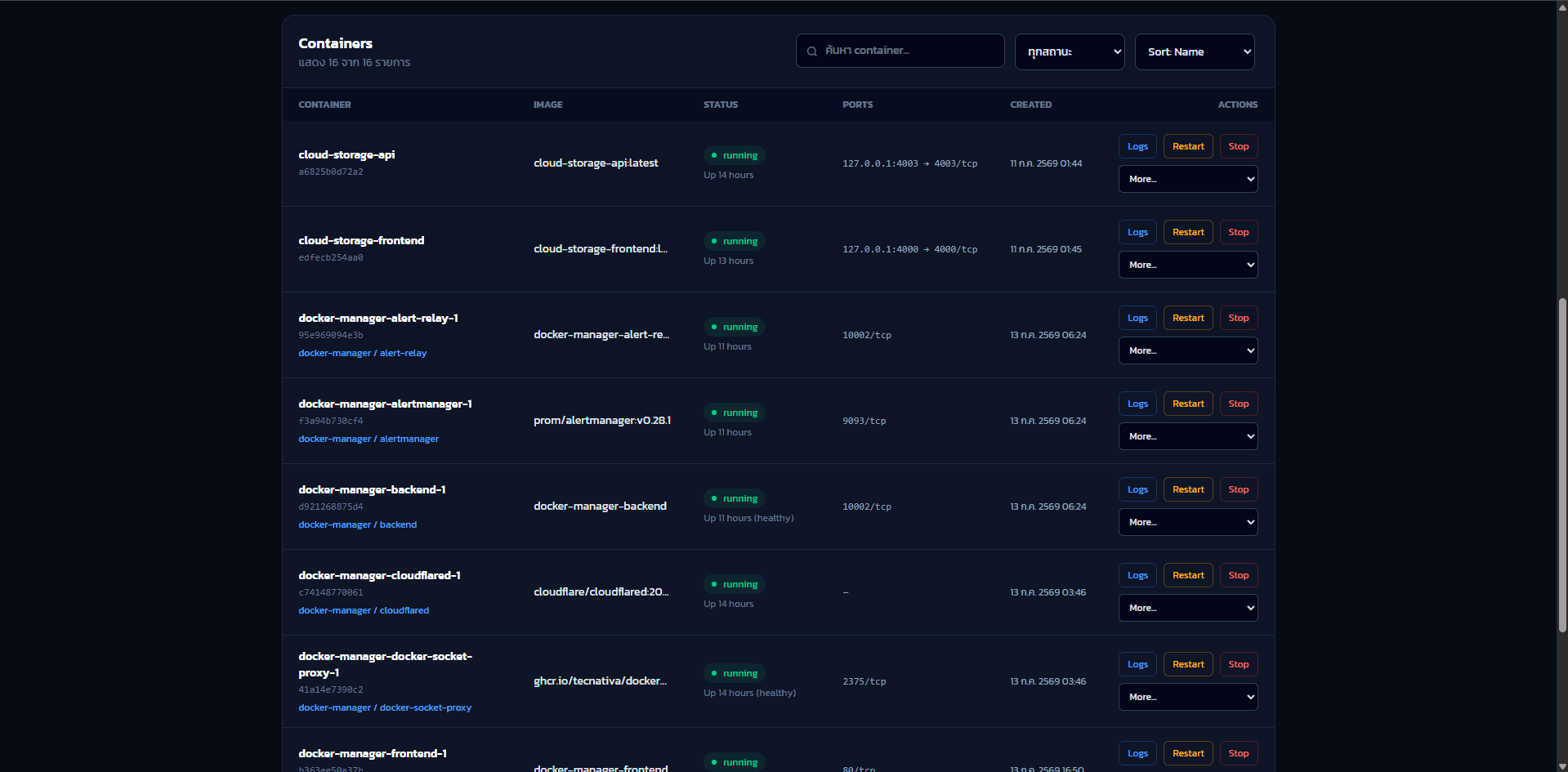 Docker Manager Dashboard Detail screen